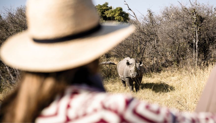 girl watching Rhino